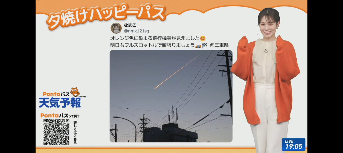 なまこ tweet media