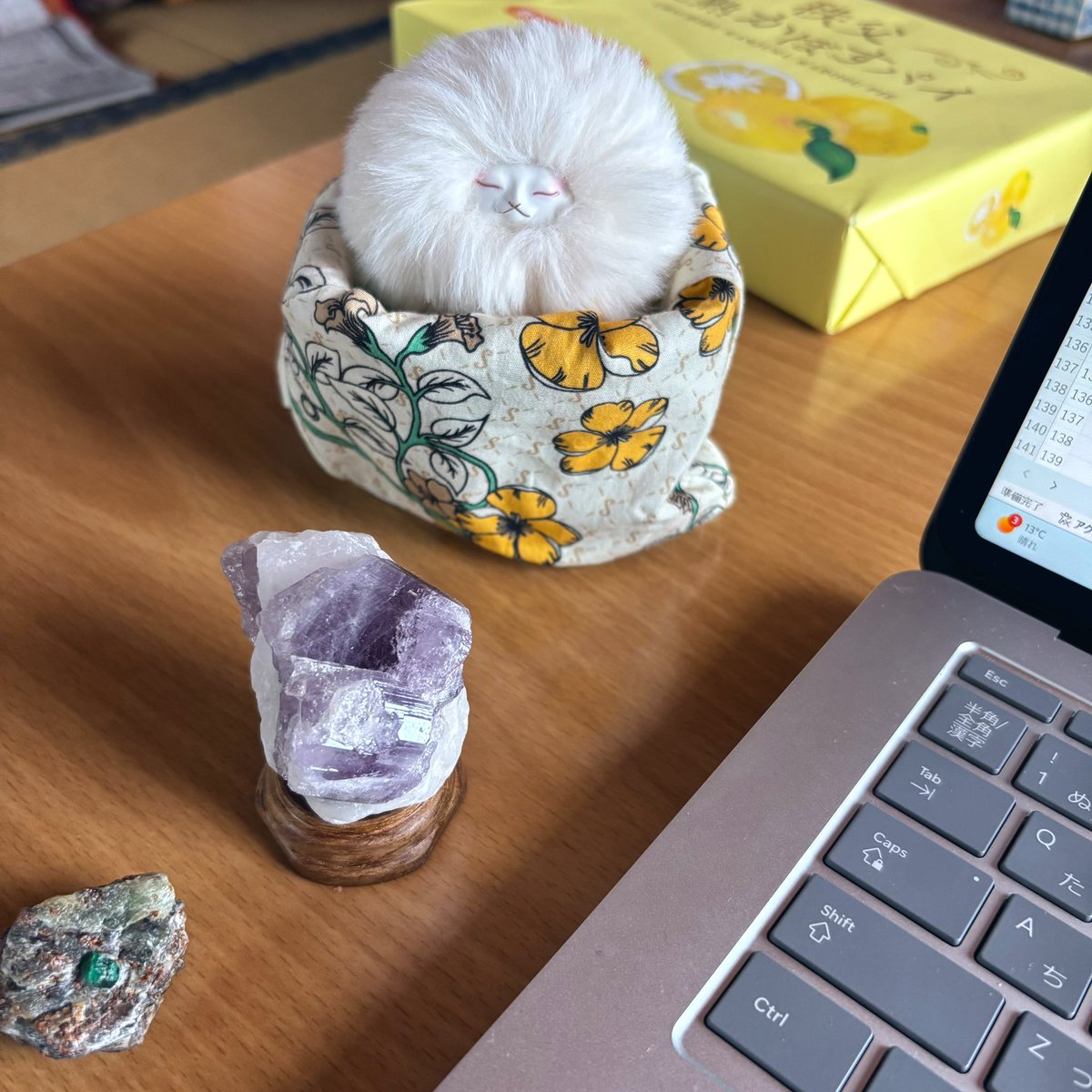 オサキ狐のアサキ tweet media