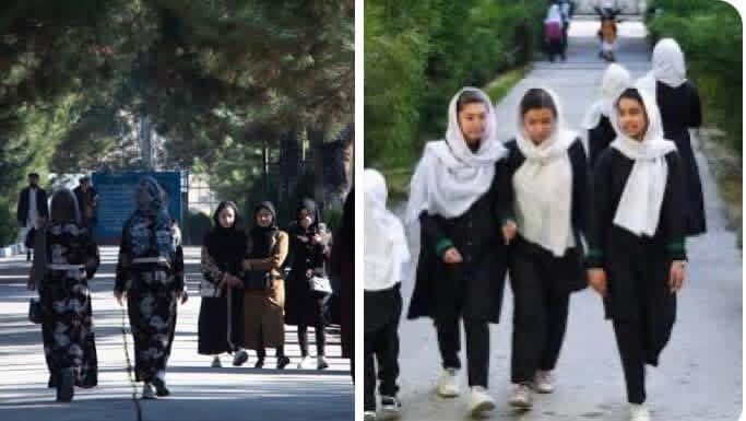 Sayed H Pacha tweet media