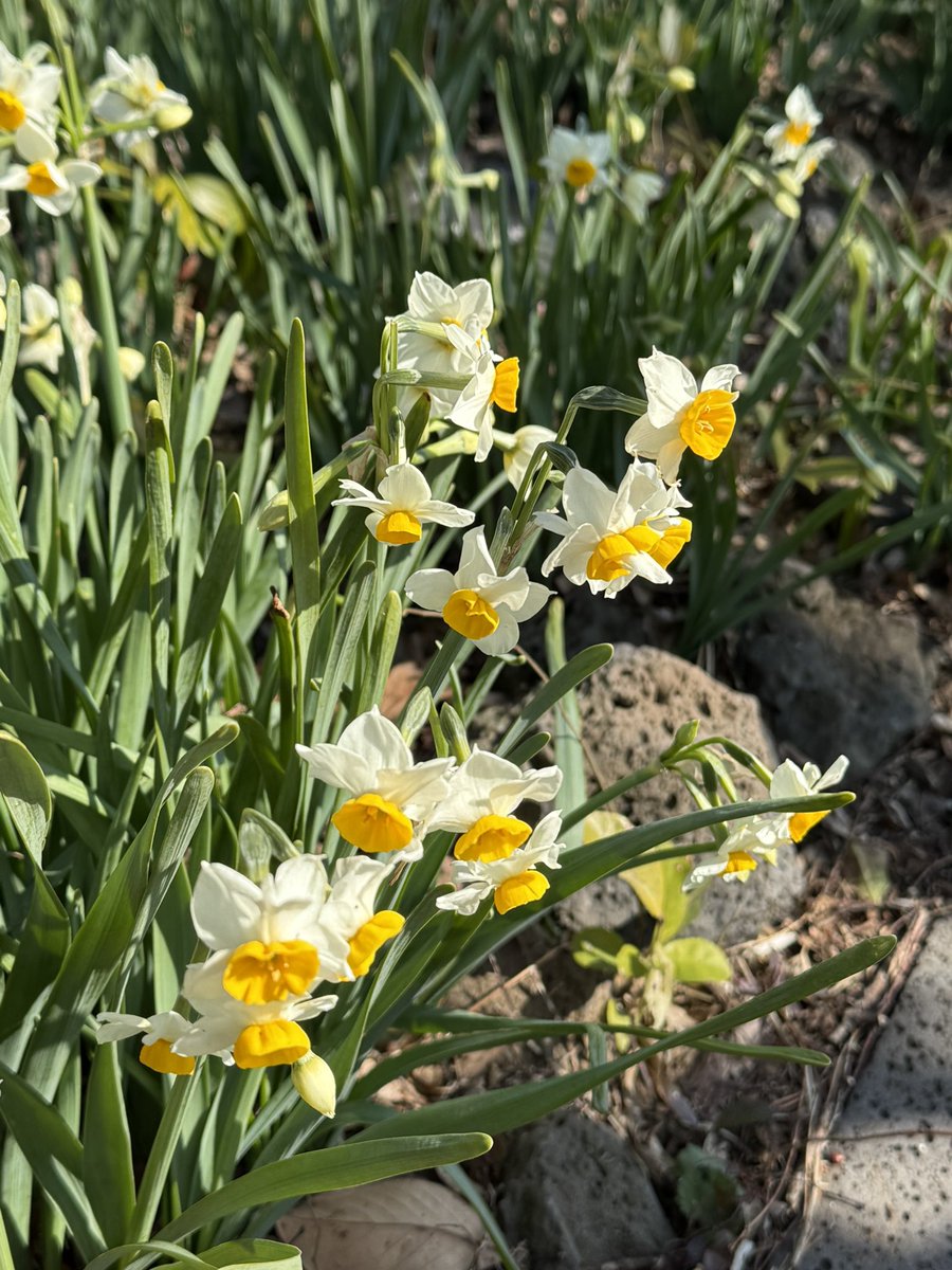 숙낑이 tweet media