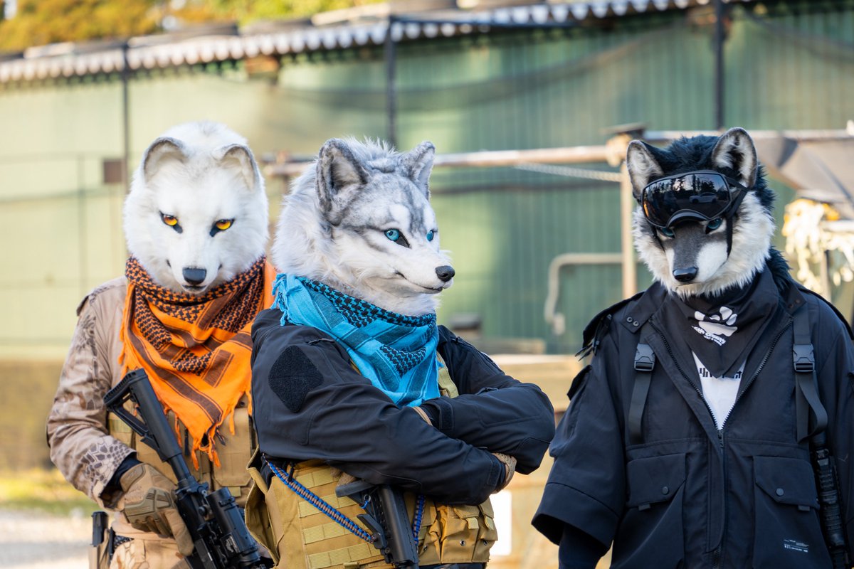 Kohaku 琥珀 tweet media