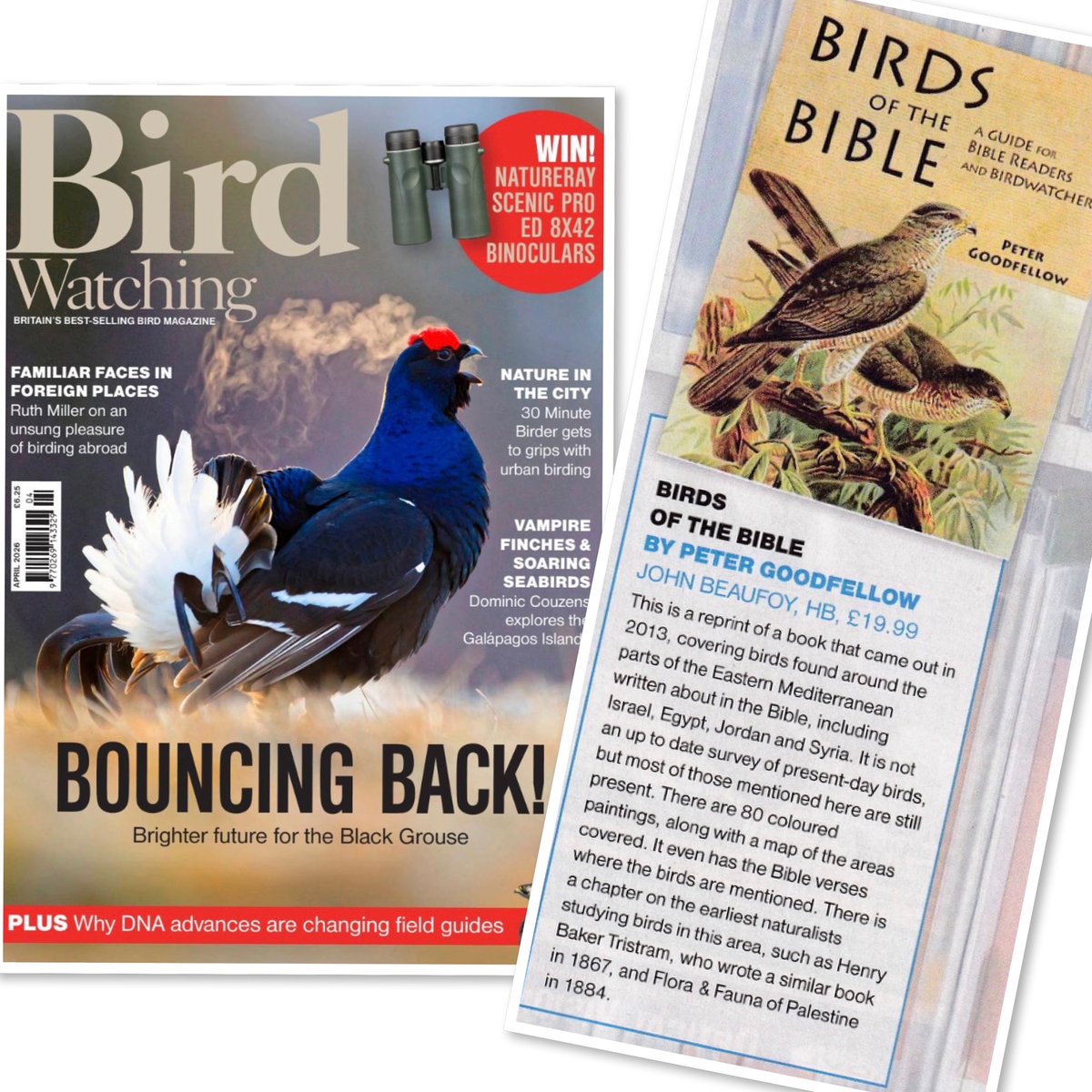 JB_Publishing's tweet photo. Thank you to @BirdWatchingMag for featuring ‘Birds of the Bible’ by Peter Goodfellow - recently reprinted. Copies of this title are available now through all good bookstores &amp; online retailers. 
#birdsofthebible #birdwatching #naturalhistorybooks #johnbeaufoypublishing https://t.co/K4ZzvGPVDu