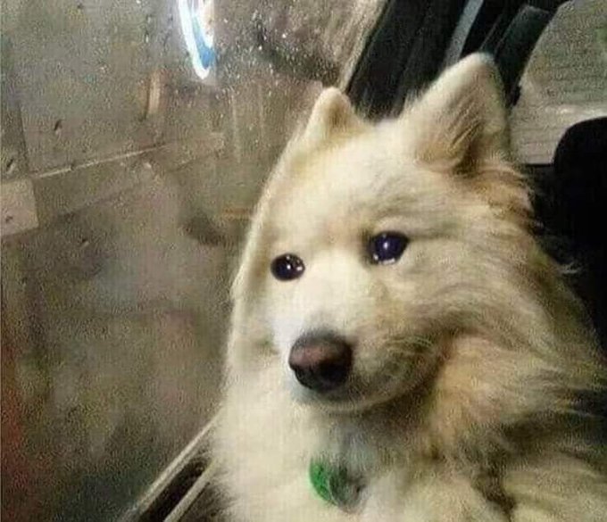 BlookyMh's tweet photo. It's over... https://t.co/056xn7cuQI