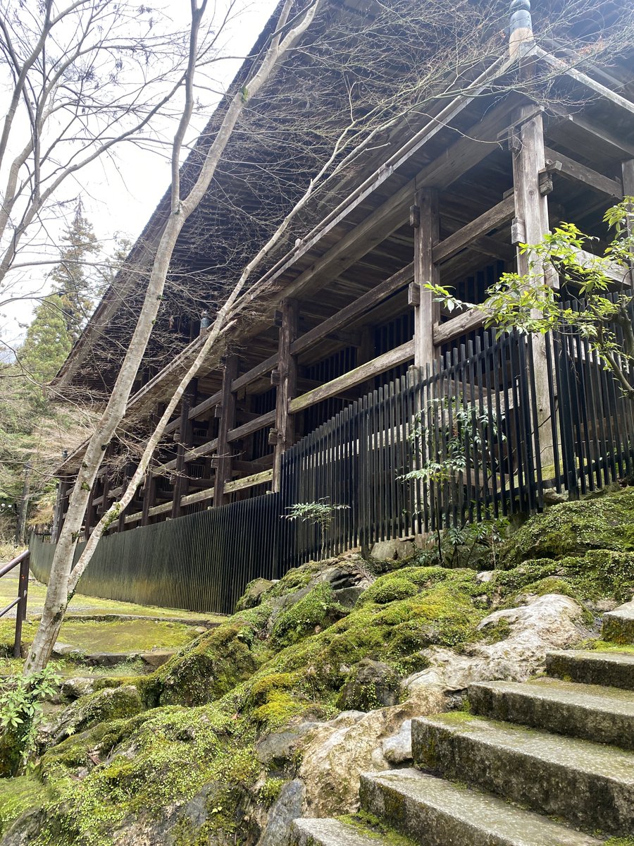 ウォーター tweet media