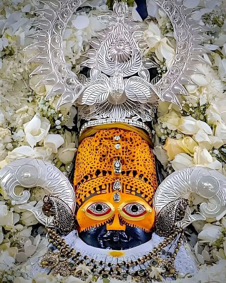 श्याम तेरे दर पे आया हूँ,
खाली झोली भर के जाना है।