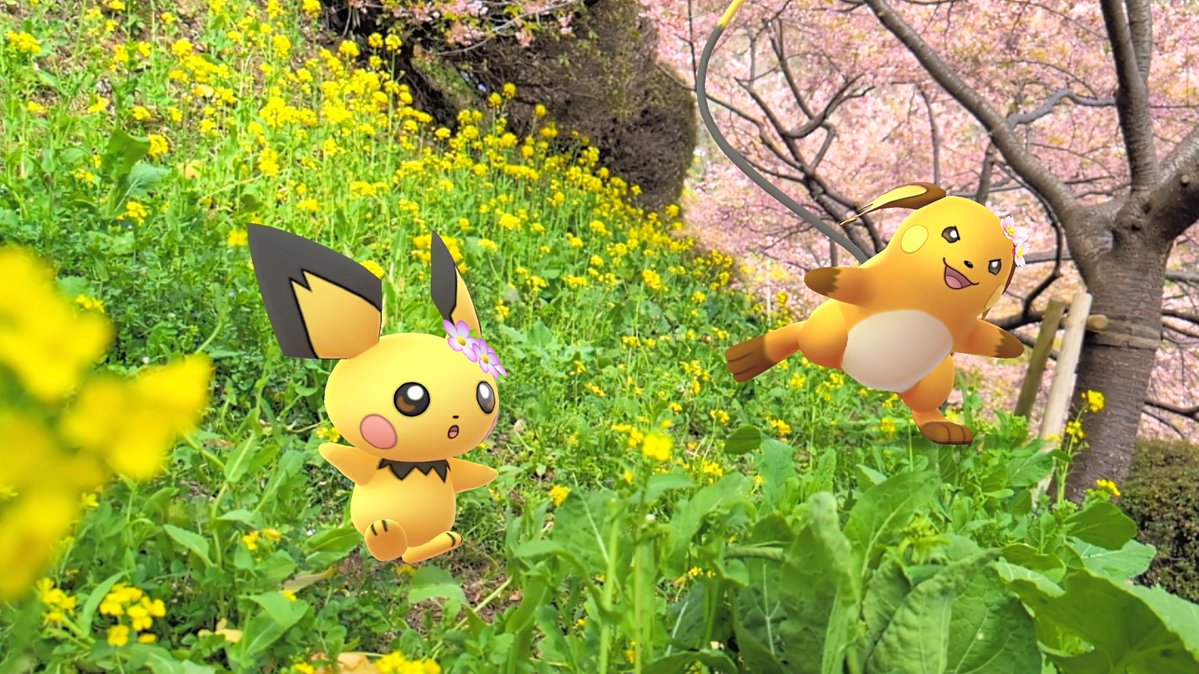 masarumonGO's tweet image. 『そこ、すべるから気をつけてね！』

ライチュウ
ピチュー

#goスナking_r2
#ARofTheDay
#GOsnapshot  #GOsnapshotCelebration

@tane_pokego