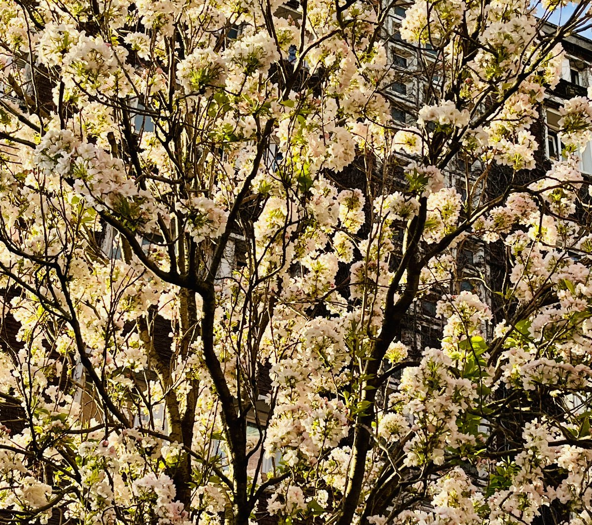 Delph2210🎗️🇨🇵🇮🇱 tweet media