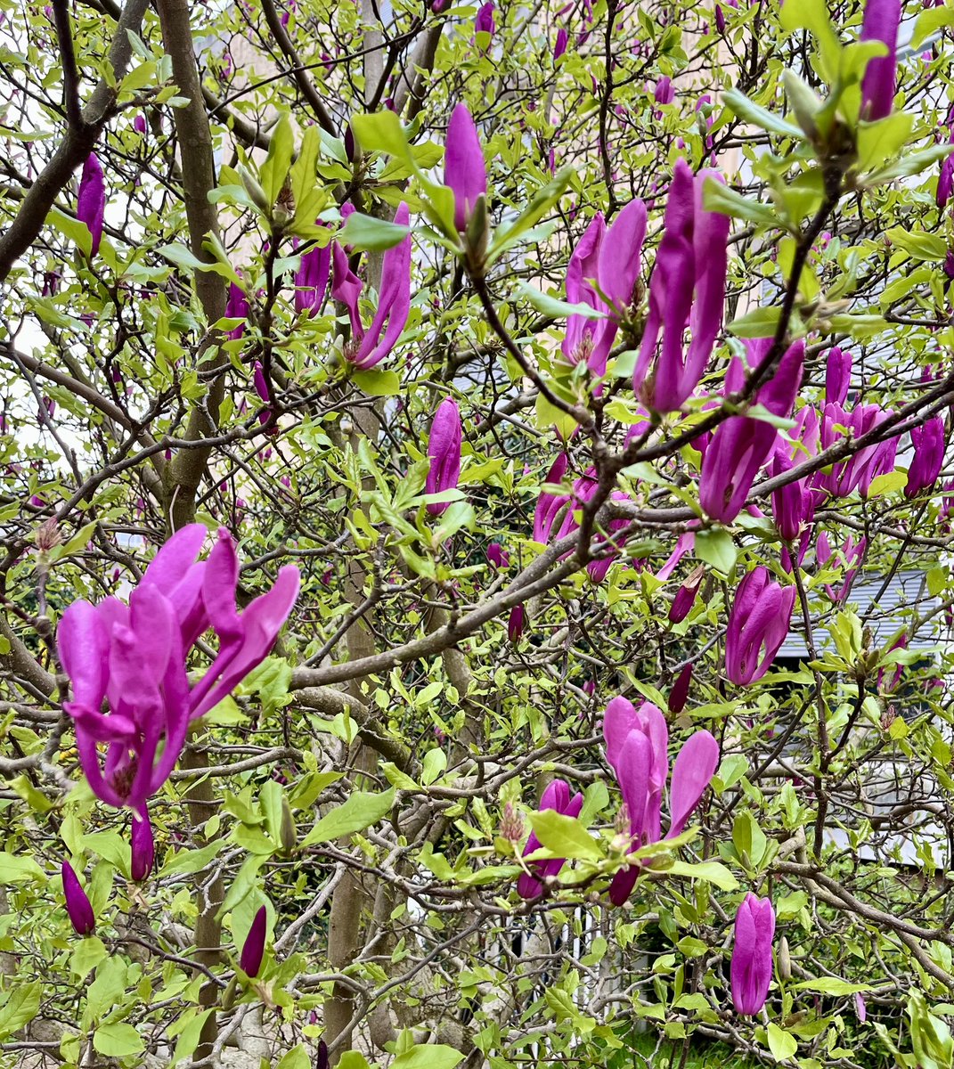 Delph2210🎗️🇨🇵🇮🇱 tweet media