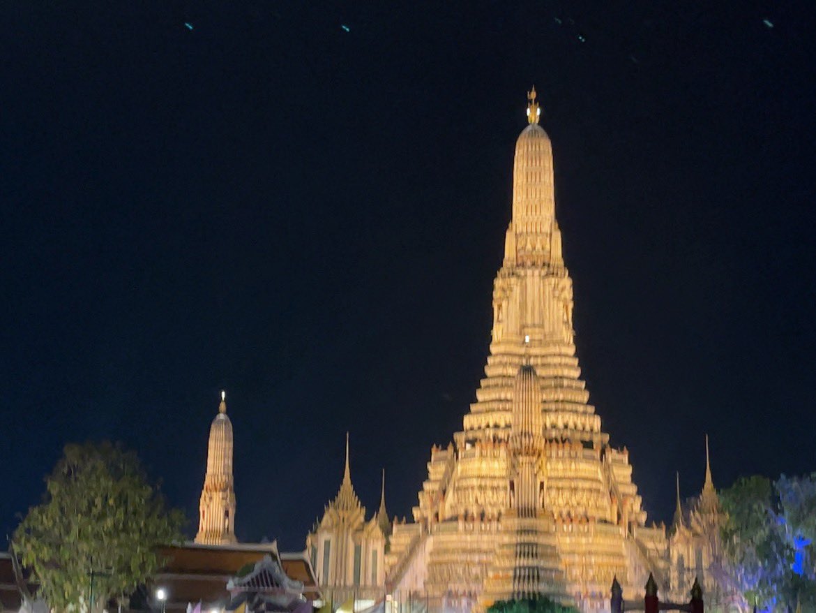 michelle alexandra tweet media