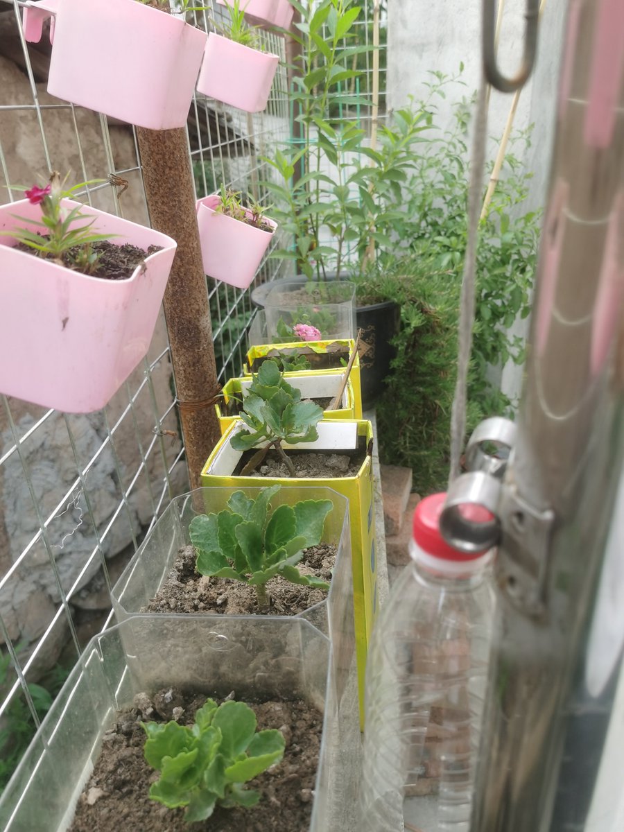 DomenHeric tweet media