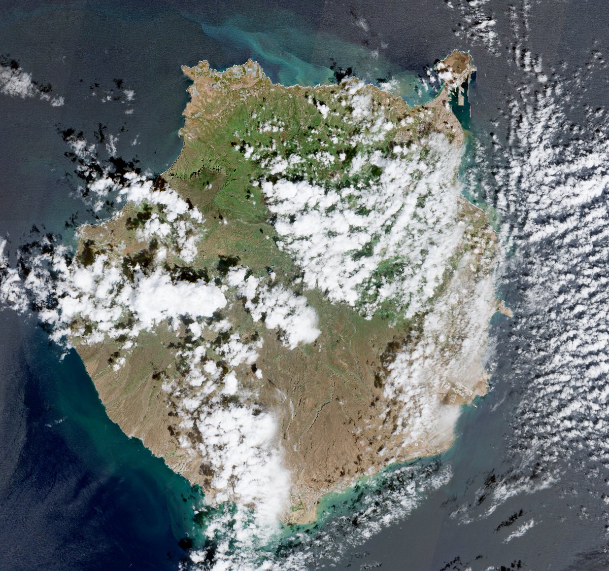 ObservadorCanario tweet media