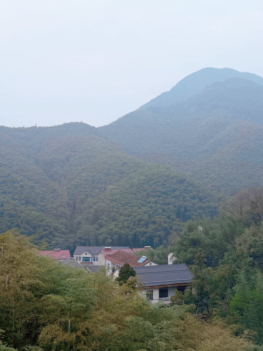 小钰_Hilda tweet media