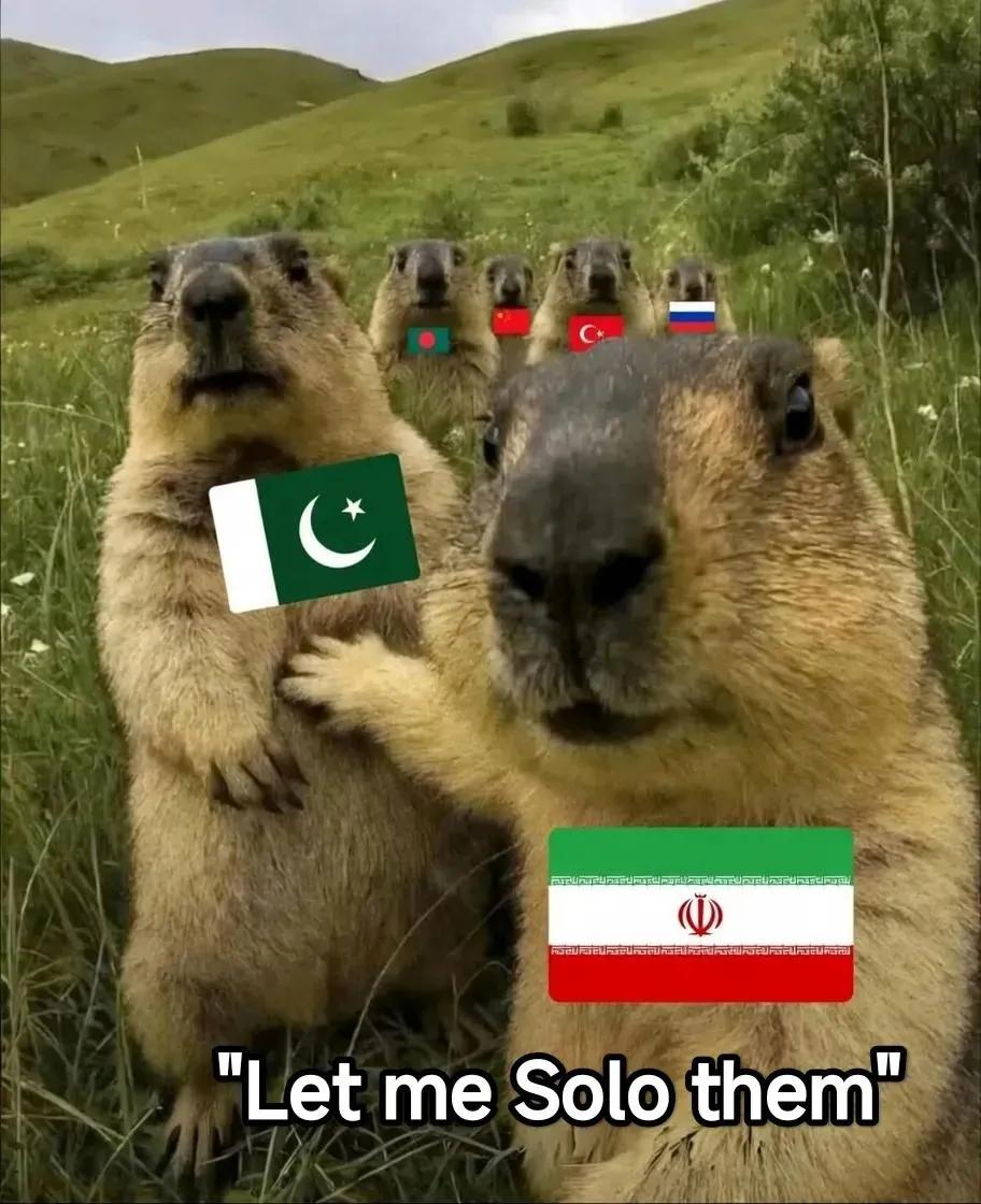 arlindibro's tweet photo. @A_Ham96 🤣🤣🤣🤣 https://t.co/OpUD3jRfBp