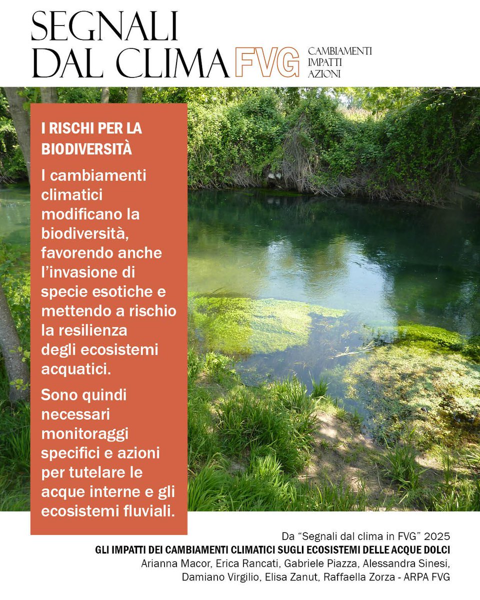 ARPA FVG tweet media