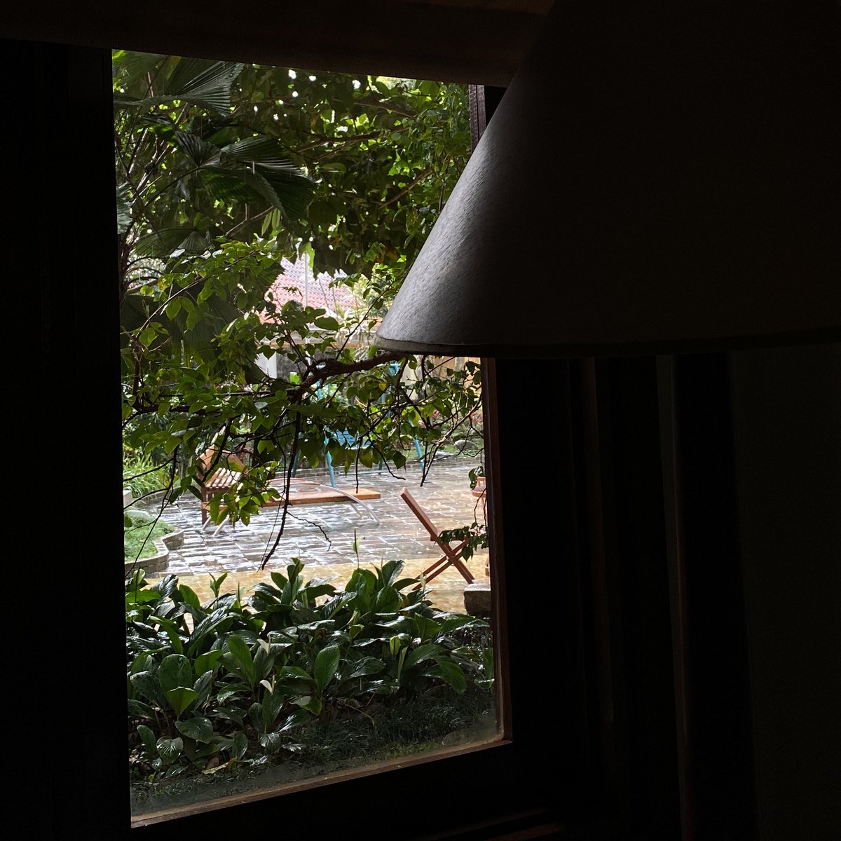 in between daily tweet media