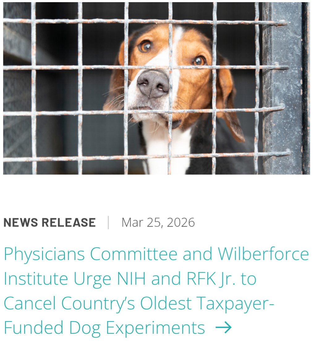 For All The Cows tweet media