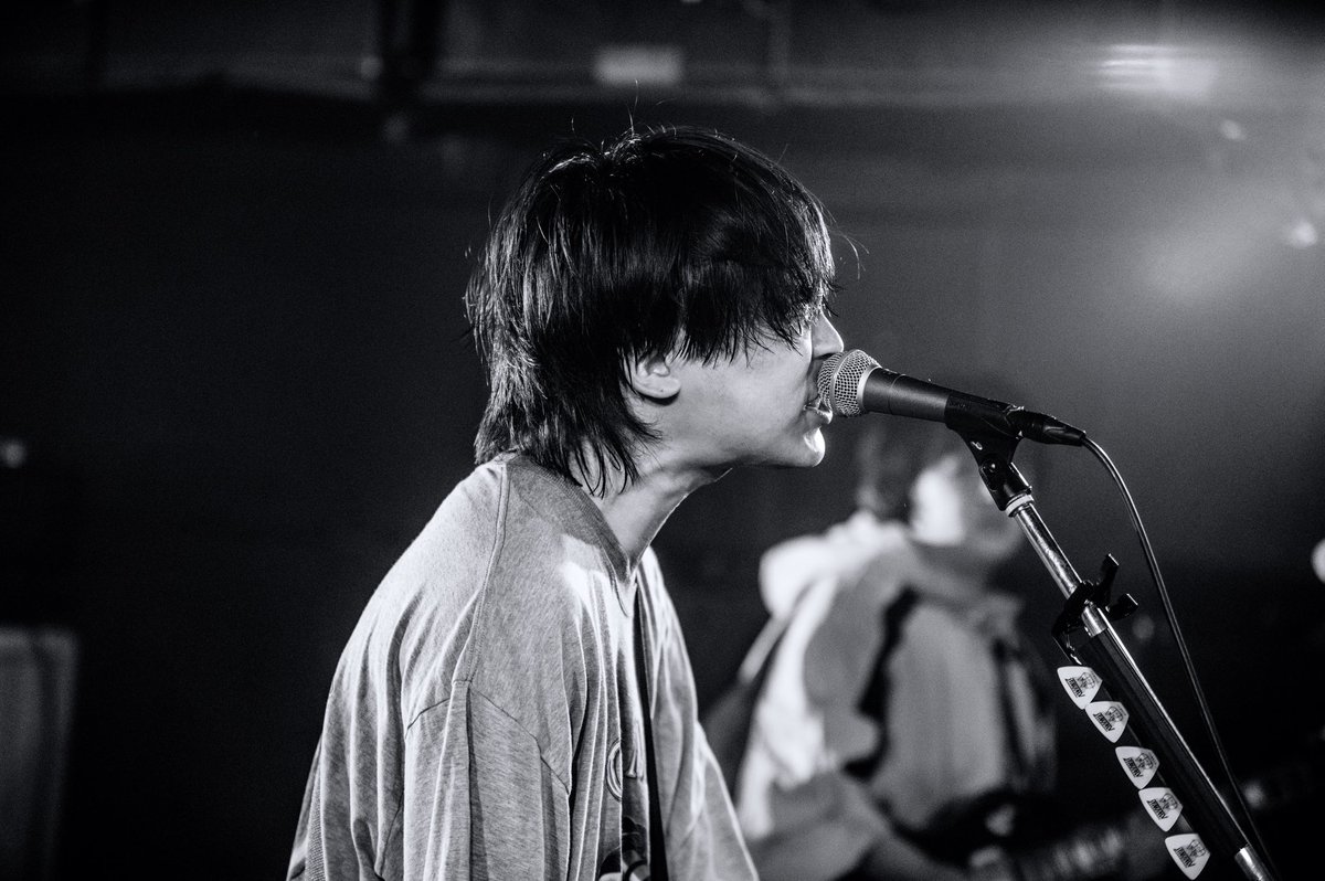 ペルシカリア tweet media