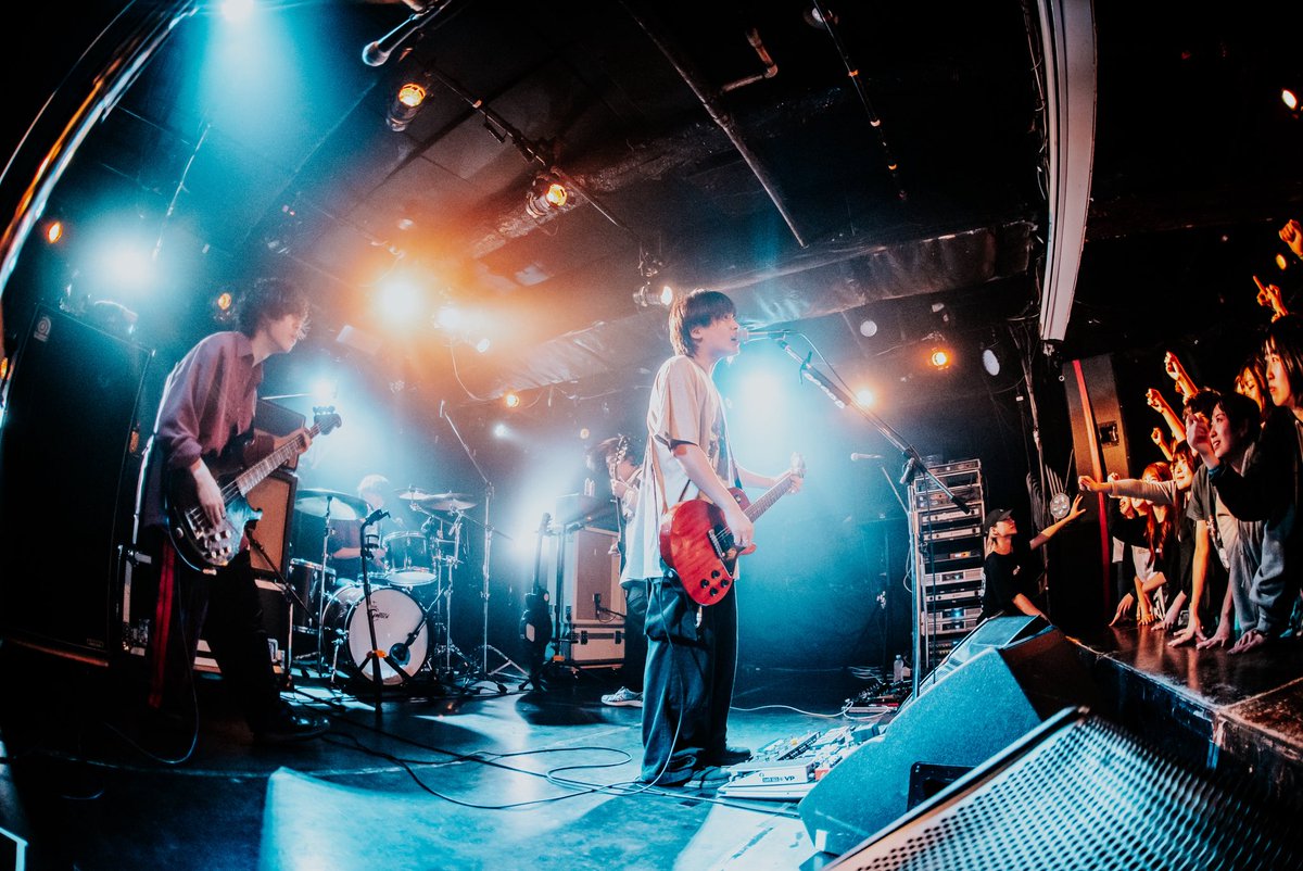 ペルシカリア tweet media