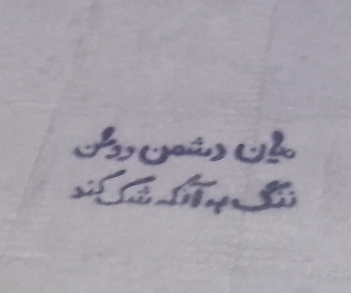 ماشاءالله به این بچه هایی که الان فقط به فکر وطن اند چون می‌دونن که بی امنیت هیچ چیز ممکن نیست.
#تا_پای_جان_برای_ایران
#بهار_مقاومت