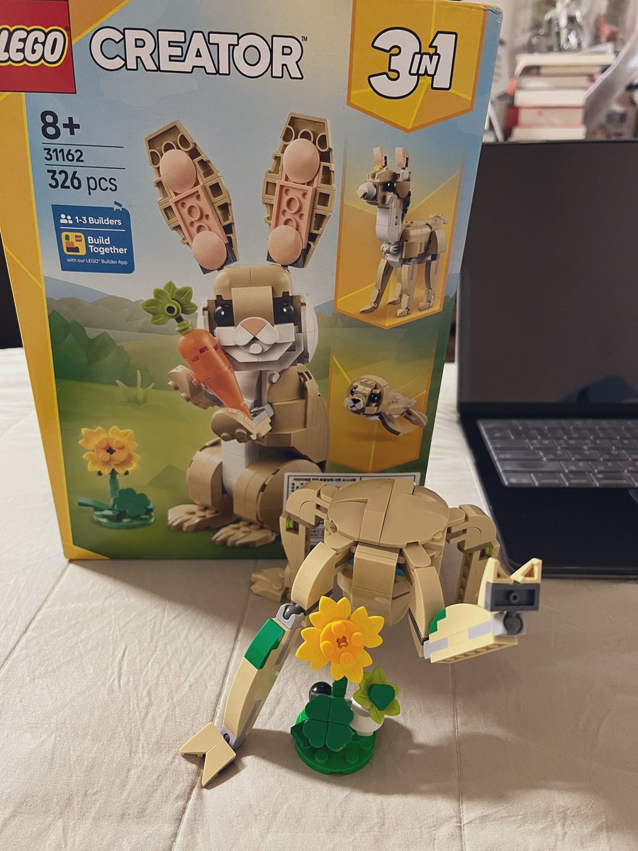 스와플 tweet media