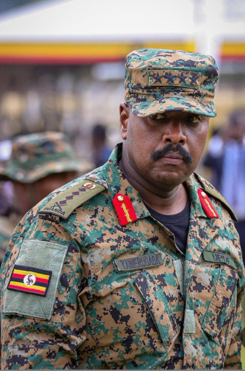 Vivid.🇮🇱 tweet media