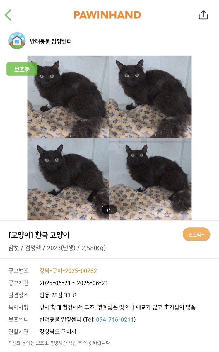 제로 콜라🥤 tweet media