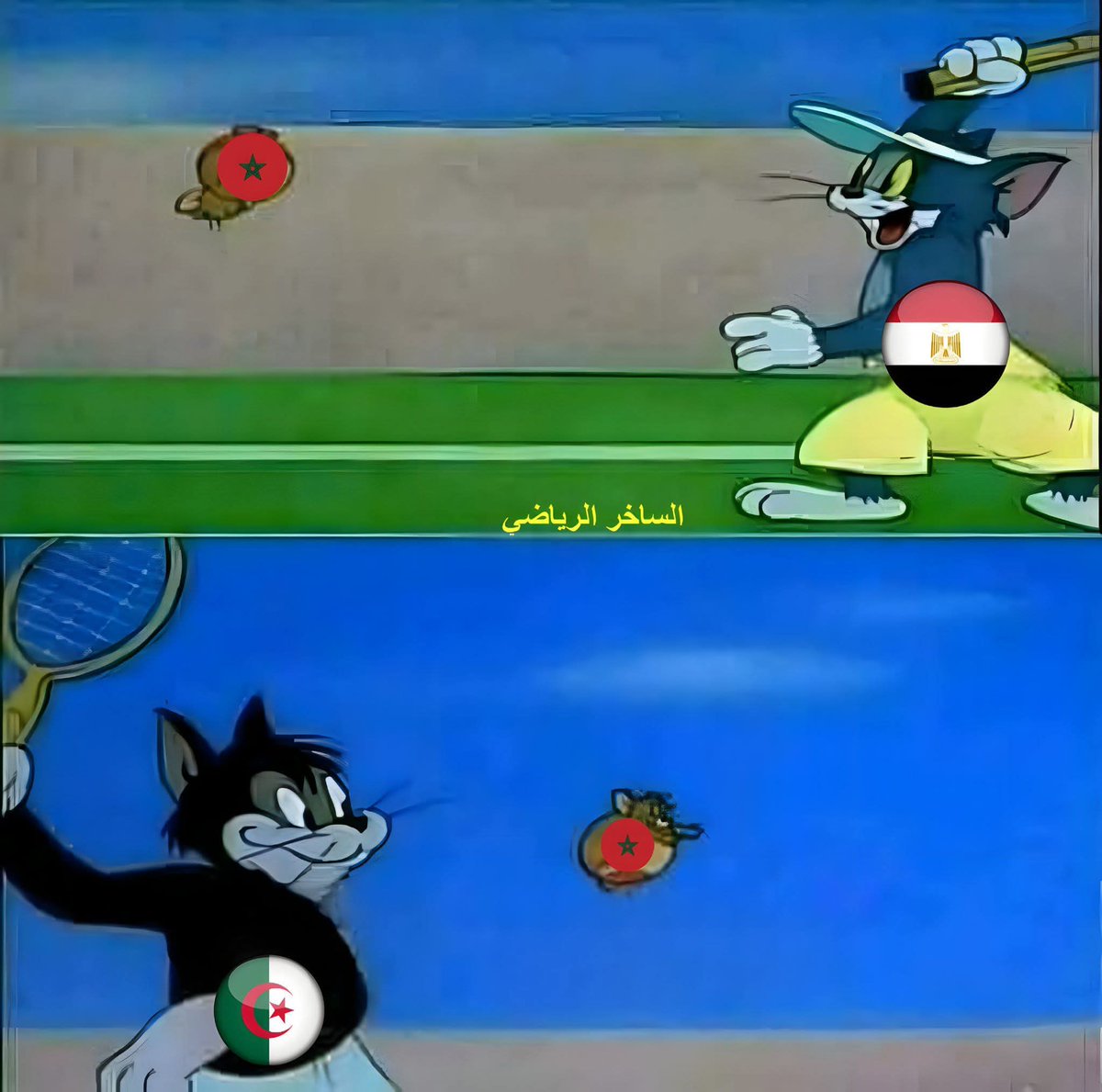 Madjid Zaoui tweet media