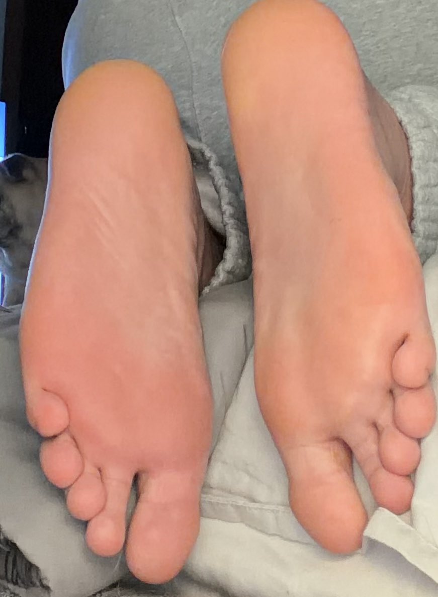 Master Charlie tweet media