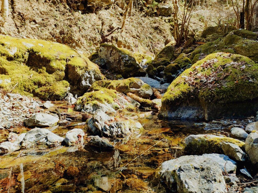 Jutta-1冊の生き物- tweet media