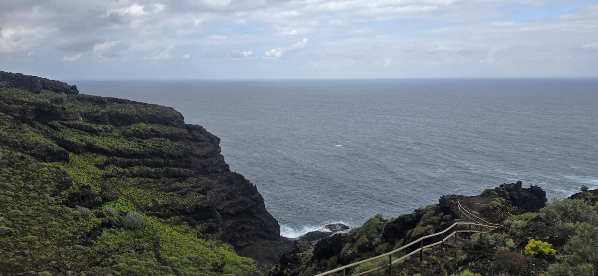 Fifarafa tweet media