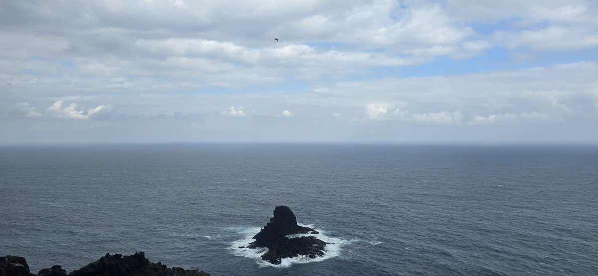 Fifarafa tweet media