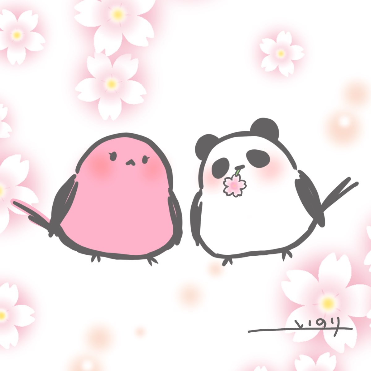 くまてぃぶ & ねこらん tweet media