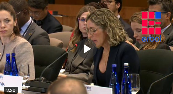 QUE PATÉTICO 🤦‍♂️🤦‍♂️🤦‍♂️🤦‍♂️ EL DISCURSO de la señora Urquidi, quejarse de que hay no acceso de todos a la tecnología y preguntando como acceder en un intento de mostrar de que el socialismo light (zurdo de caviar, progresismo) mediante el estado debe brindar tecnología para que todos