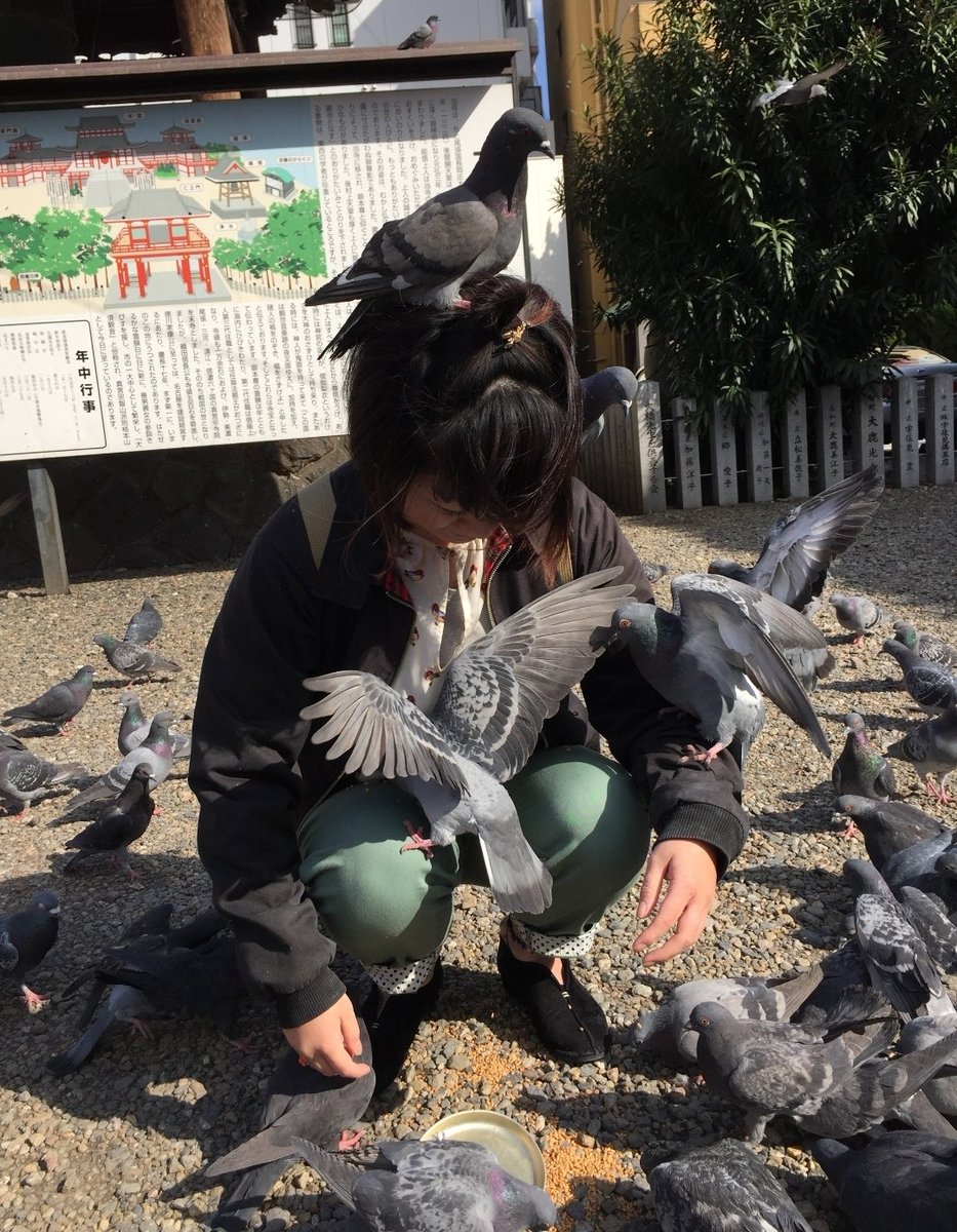 ちえぽこ tweet media