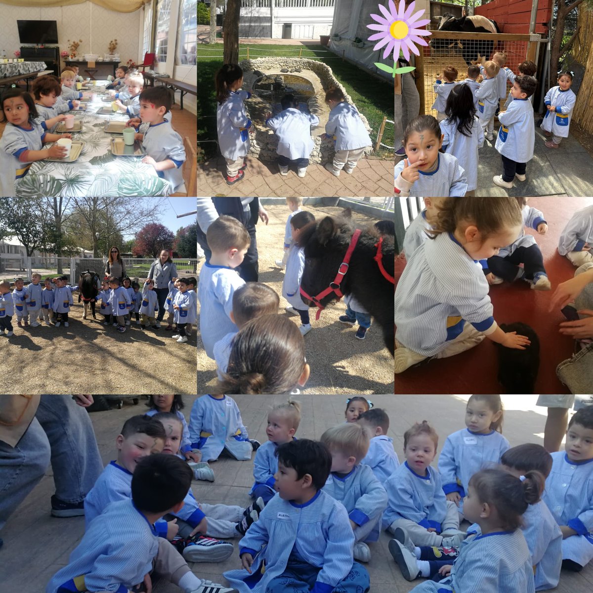 Colegio Diocesano MªInmaculada-Mogambo tweet media