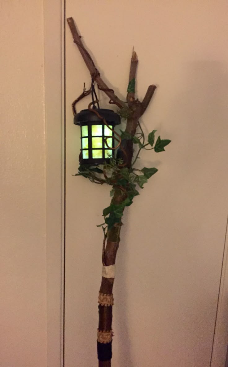 킁로버 tweet media