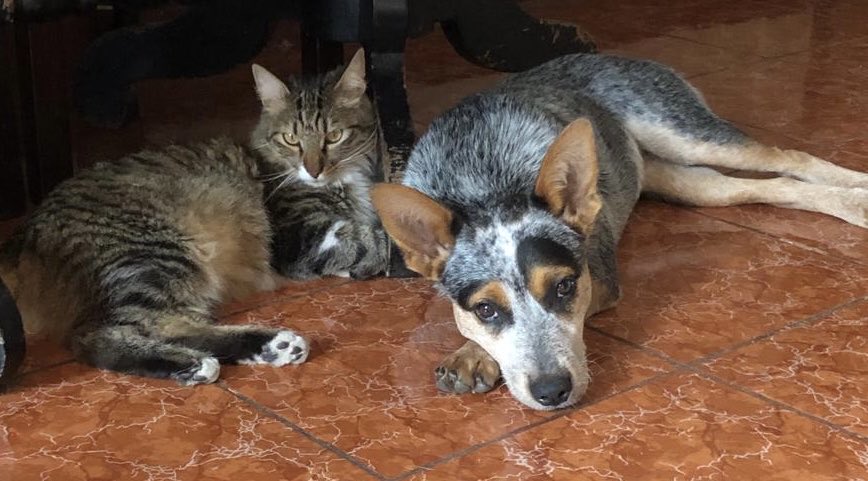 Makbule Del Aguila tweet media