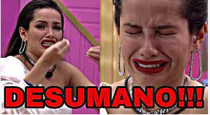 Harry Potter Acervo tweet media