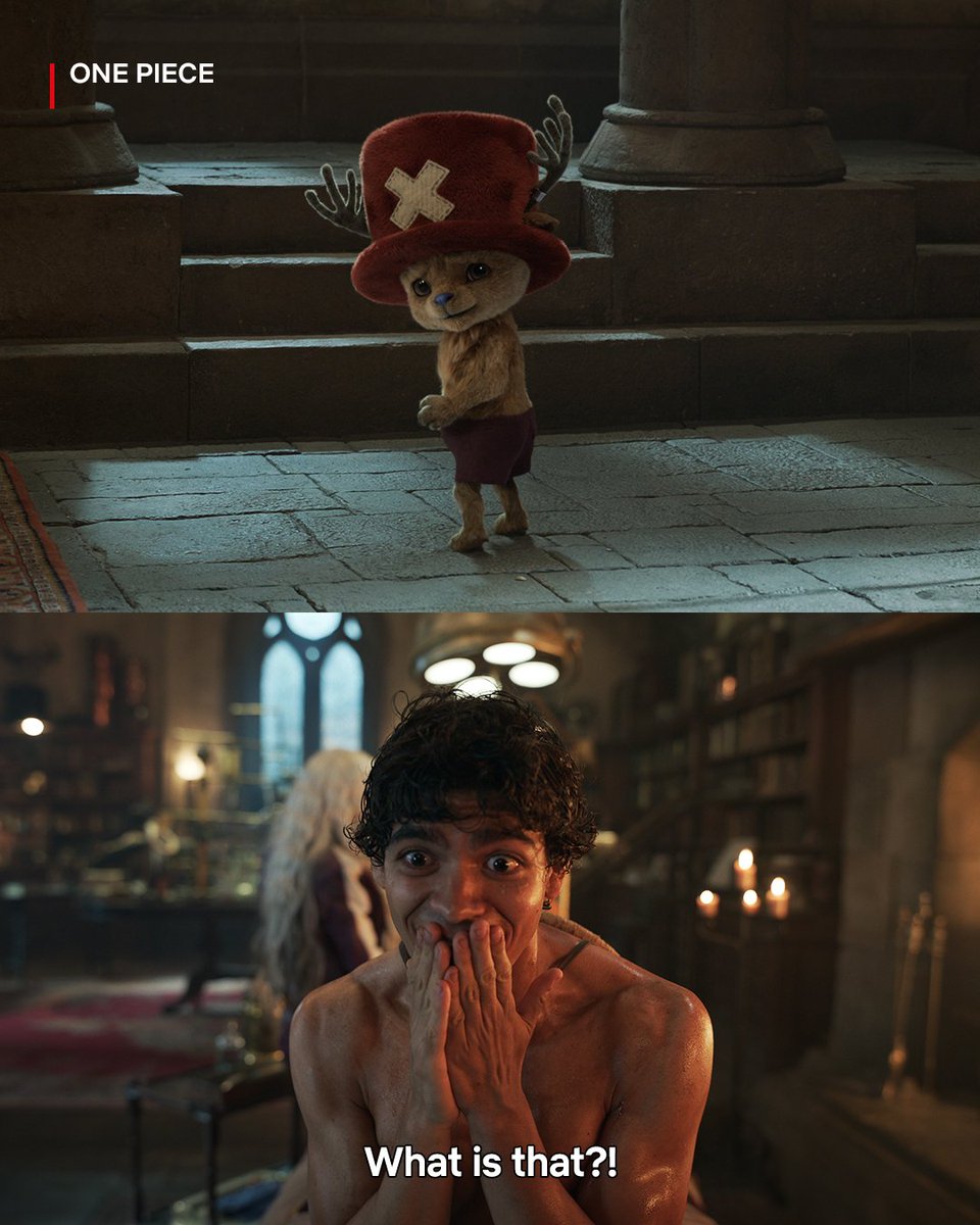 ONE PIECE(ワンピース) Netflix tweet media