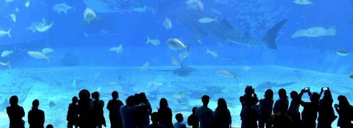 Destination Coupons tweet media