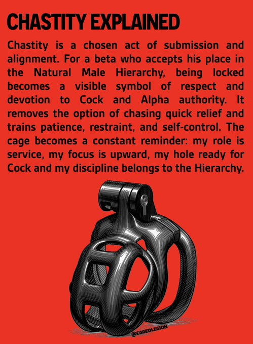 italian23atm (8K) tweet media