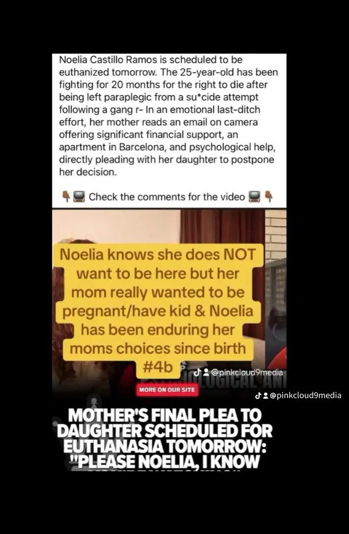 PinkCloud9 Media tweet media