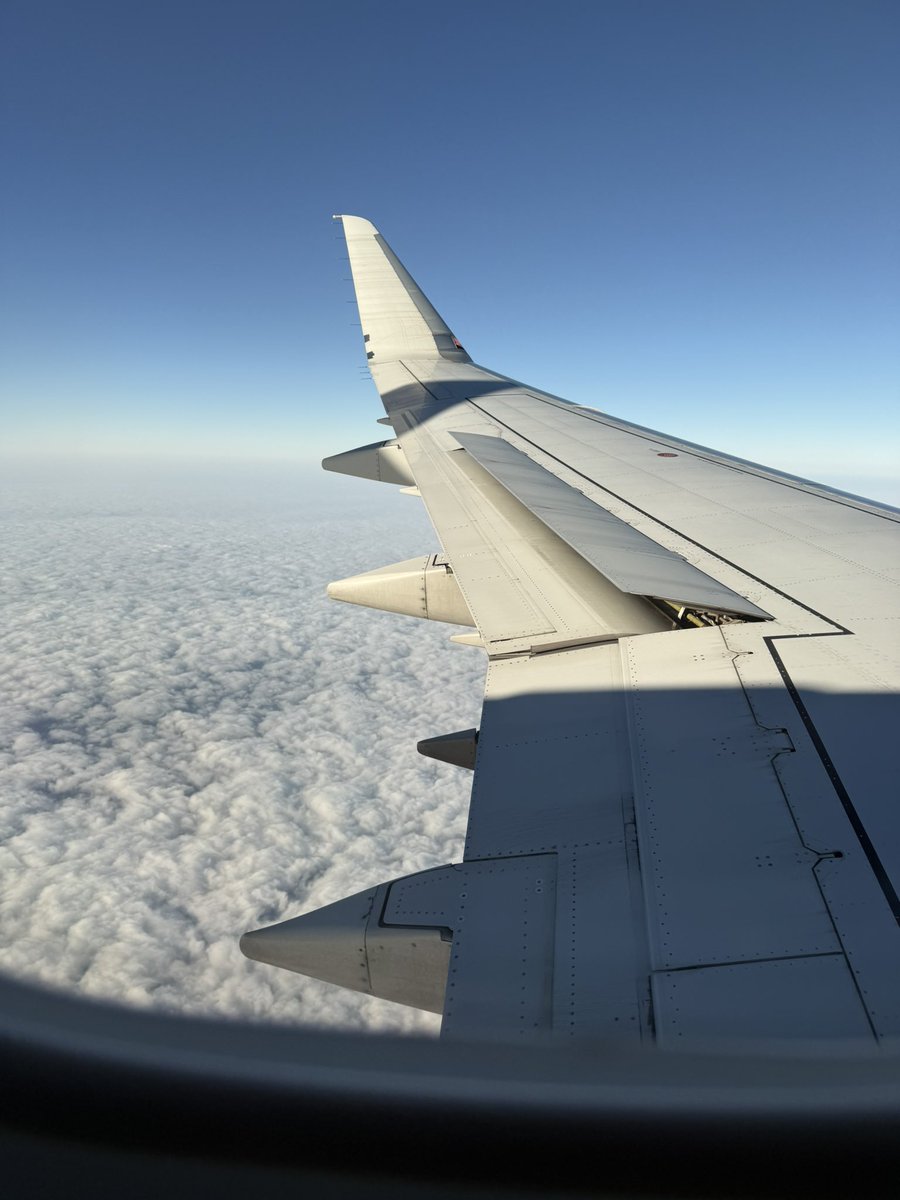 Matt Dowell tweet media