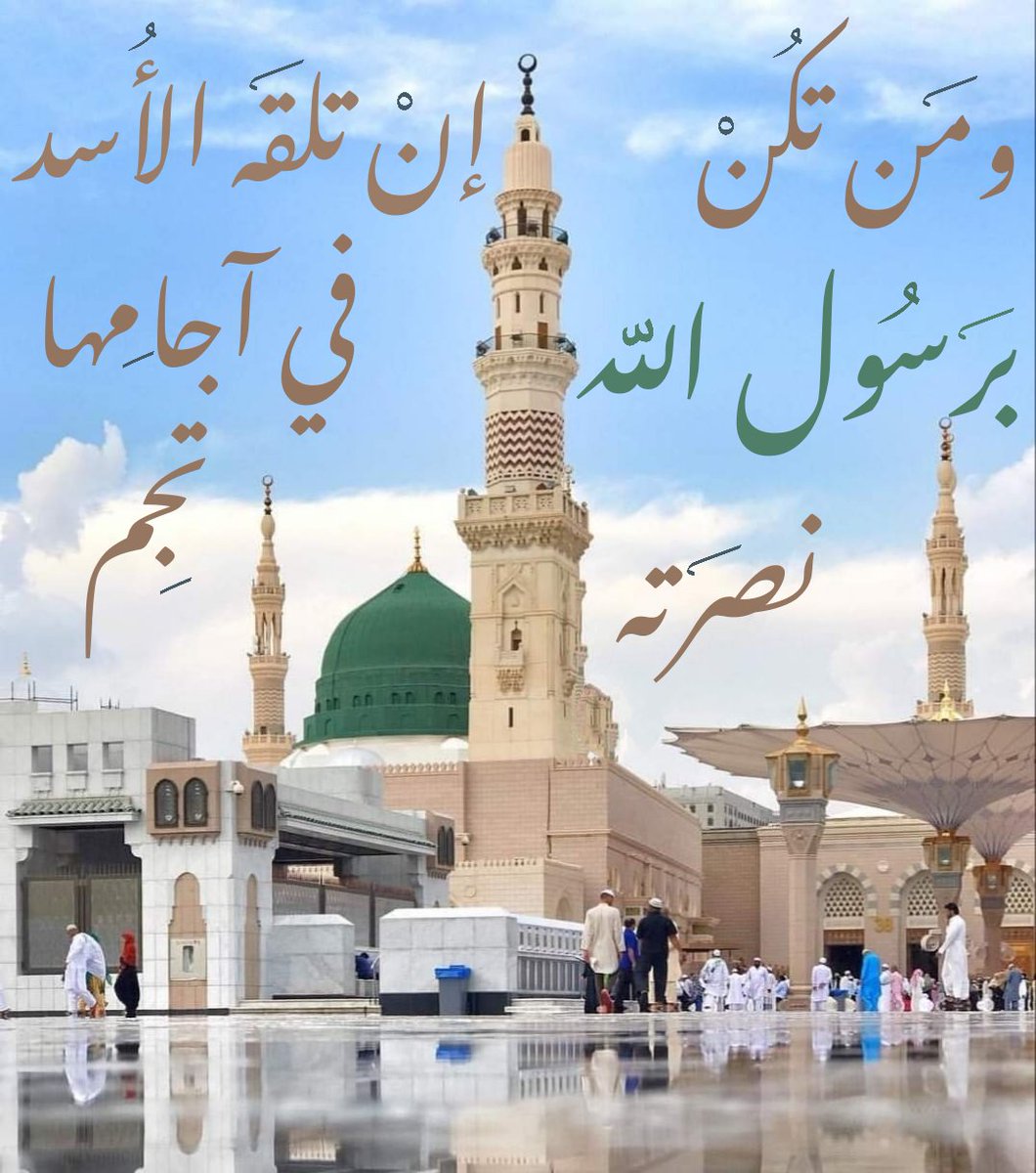 شريف 2022 tweet media