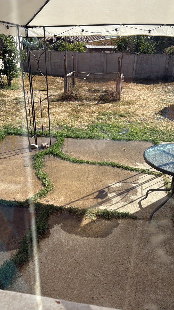 Marisela Alg tweet media