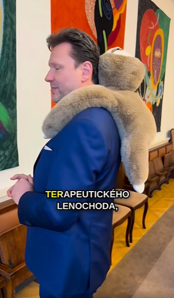 Poslední skaut™ tweet media