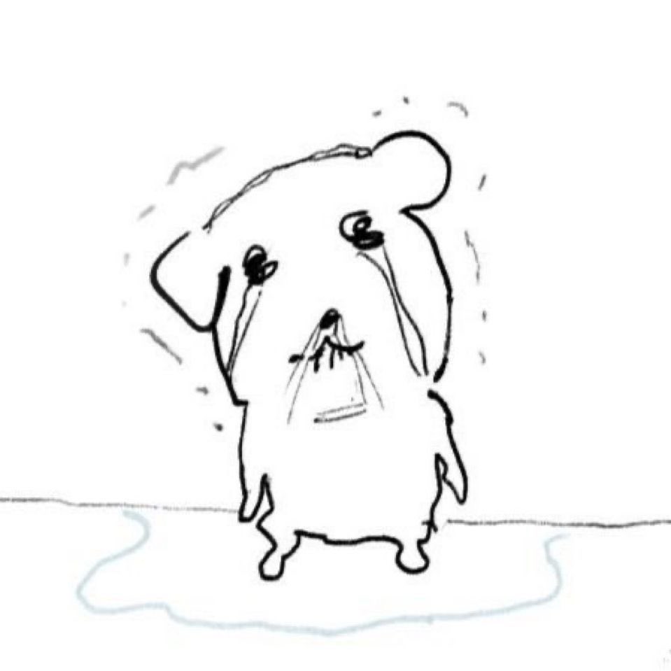 🐹 (햄) tweet media