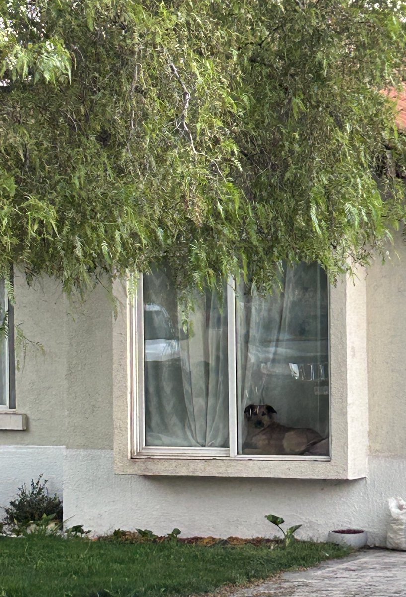 La Vieja Chepa 😍😅