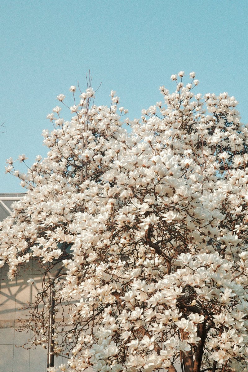 ________✍🏻 tweet media