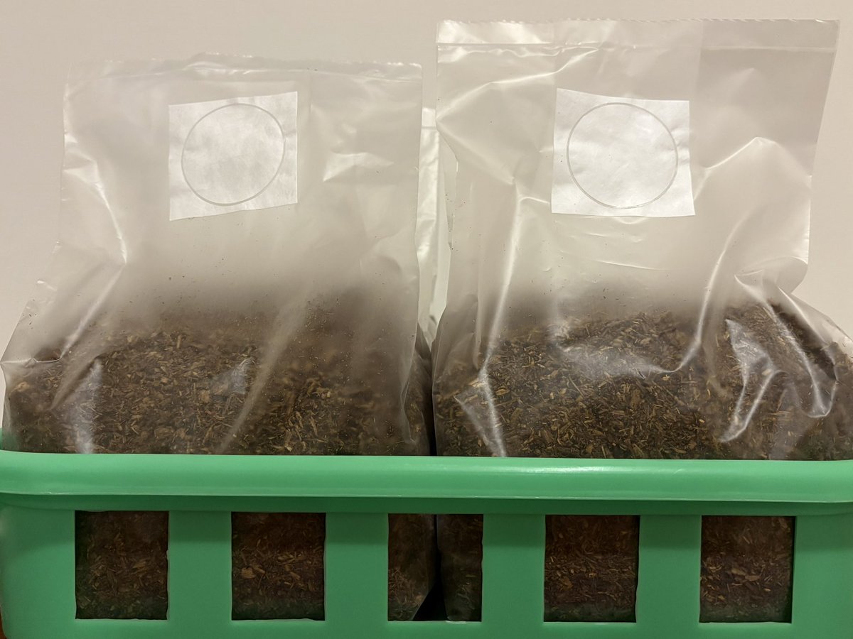 セルヴォラン tweet media